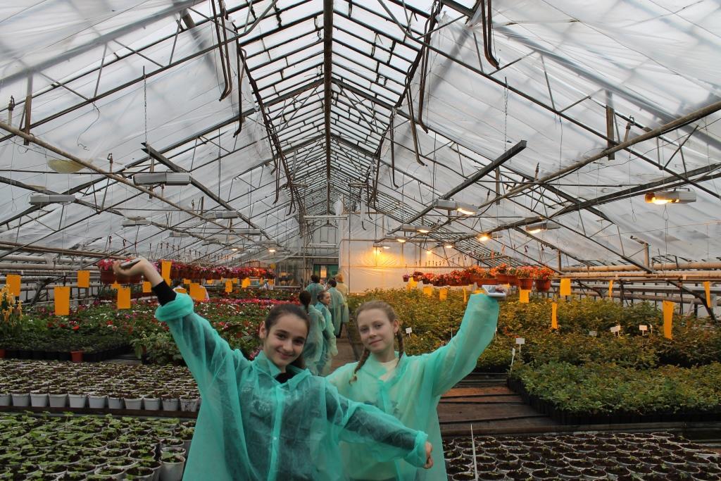 новомосковск тепличный комбинат ширино. тепличный комплекс экокультура. тепличный комплекс тульский в щекинском районе. теплицы щекино. тепличный комплекс экокультура тула.