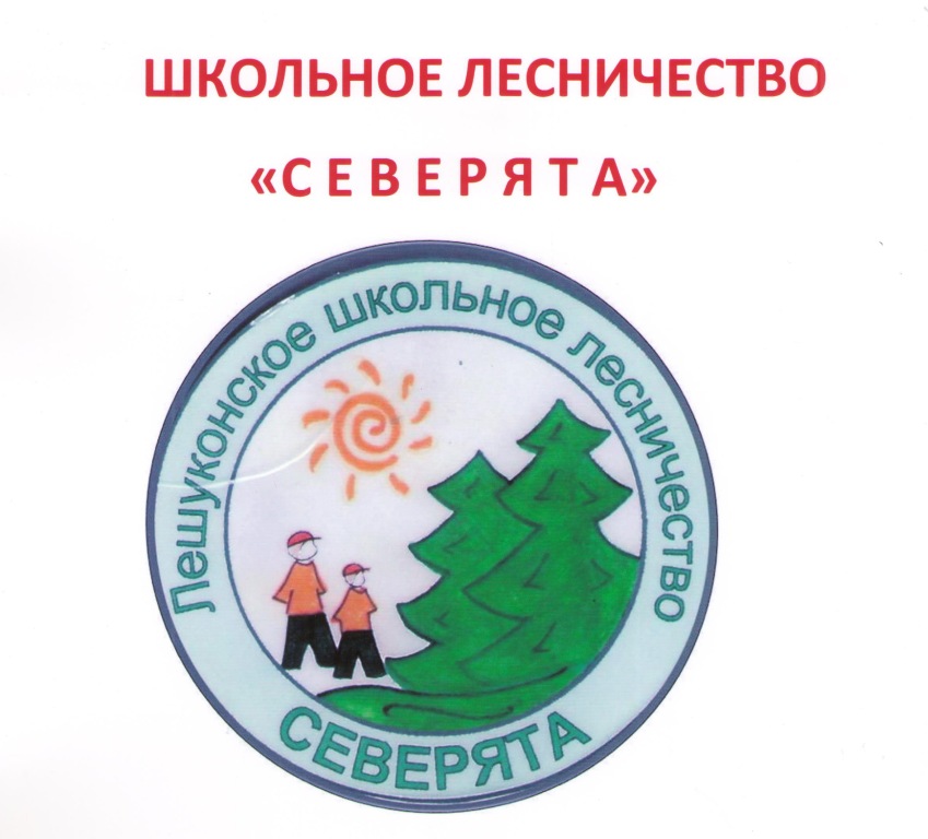 Школьное лесничество. Название школьного лесничества. Стенд школьное лесничество. Логотип школьного лесничества Красноярского. Школьное лесничество картинки.
