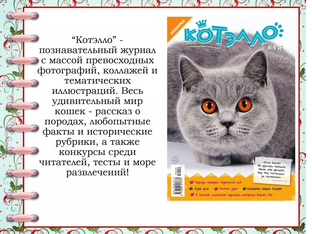 Расскажи кошку. Рассказ про кошку. Рассказ о кошке 2 класс окружающий мир. Веселый рассказ про кошку. Журнал про кошек для детей.