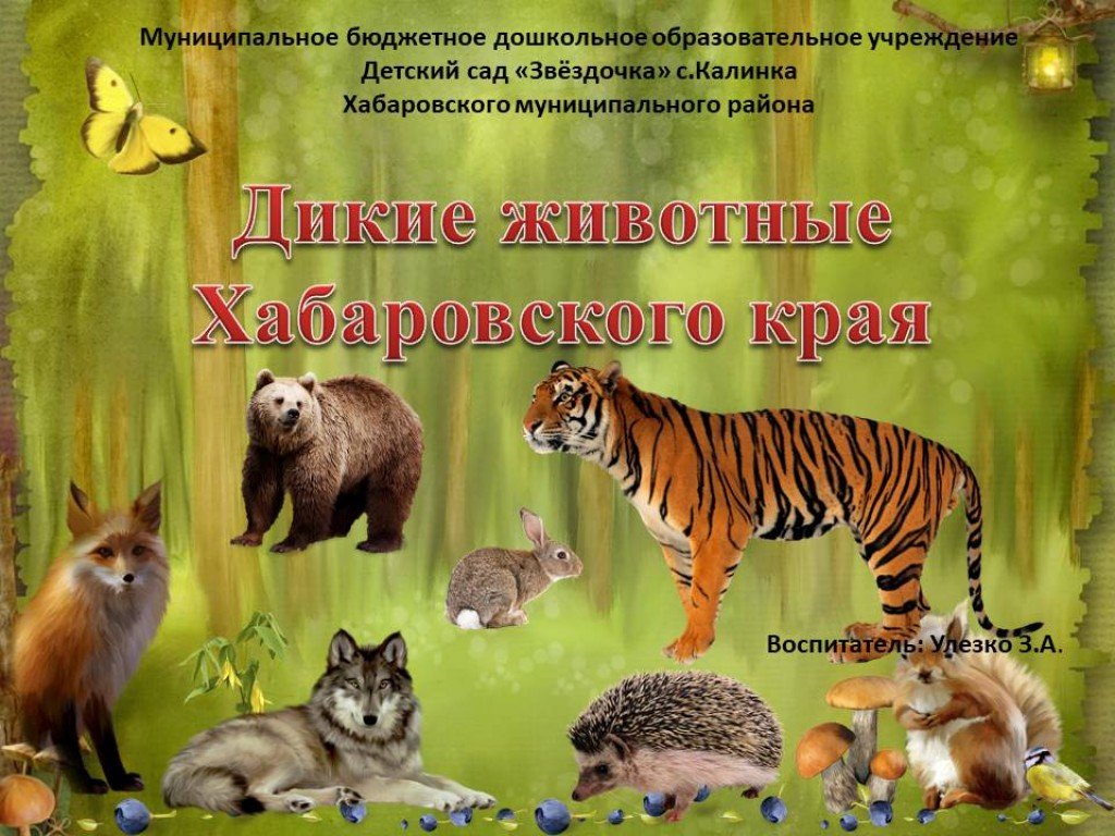 Презентация дикие