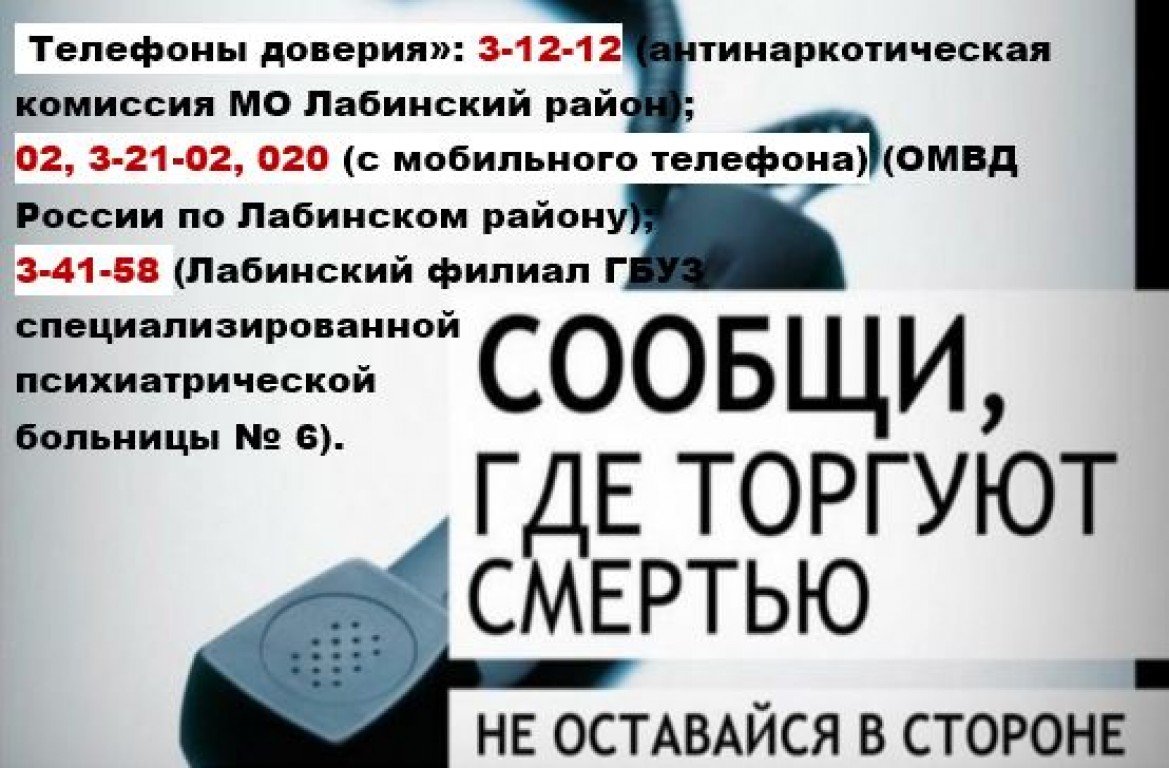 Отчет сообщи где торгуют смертью. Сообщи где торгуют смертью 2021 Краснодарский край. Всероссийская антинаркотическая акция сообщи где торгуют смертью. Сообщи где торгуют смертью Краснодарский край. Акция сообщи где торгуют смертью Краснодарский край.