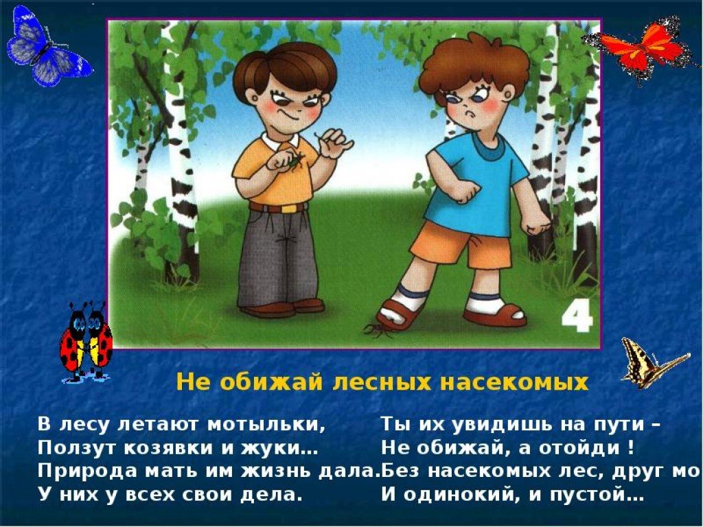 Не обижай. Правило рлвидение в лесу. Безопасность поведения в лесу. Поведение в природе для дошкольников. Правил поведения в лесу.