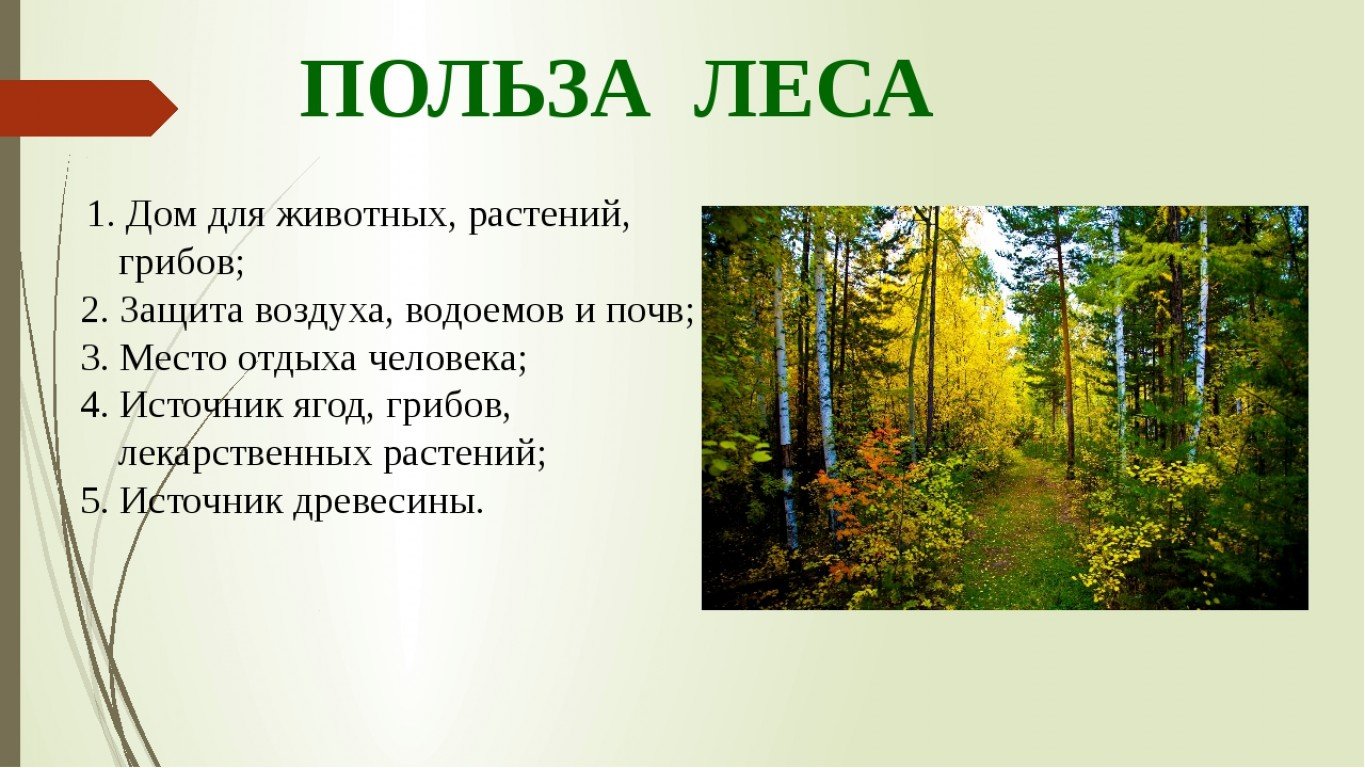 Культура часто определяют как вторую природу составьте план текста