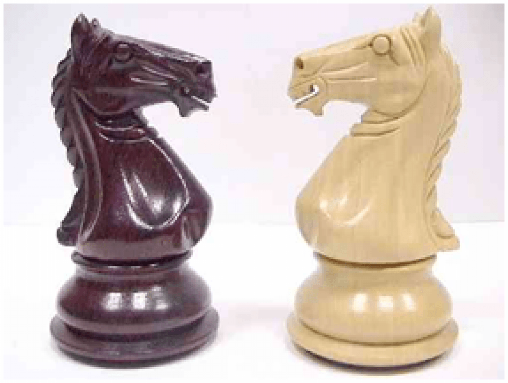 2 коня шахматы. Шахматный конь. Конь шахматы. Фигура коня в шахматах. Шахматный конь для детей.