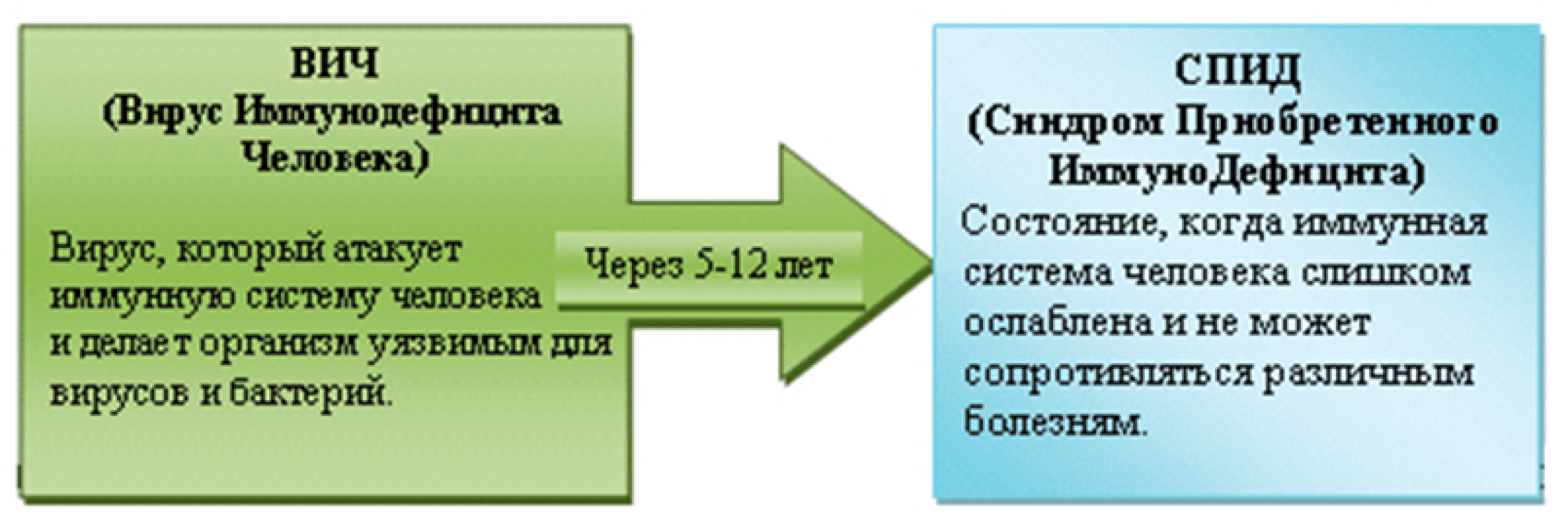 Чем отличается вич от спида кратко. Различие между ВИЧ И СПИД. Отличие ВИЧ от СПИДА. Разница между ВИЧ И СПИД.