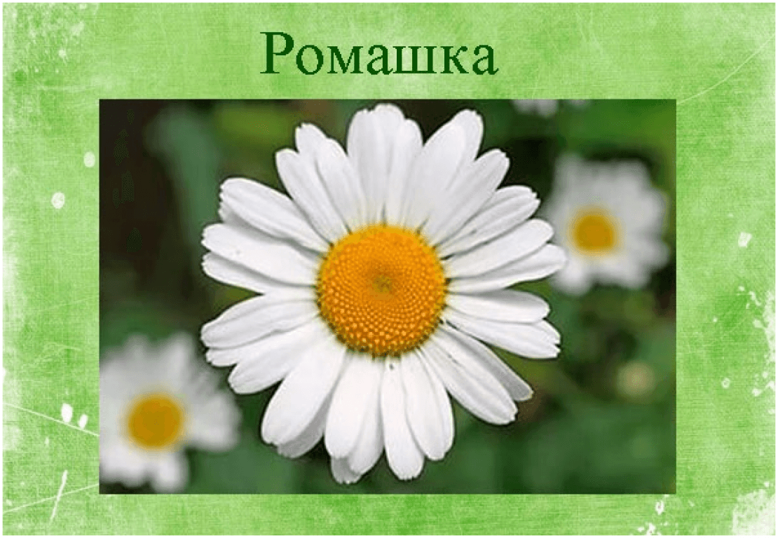 Давай Дружить Фото