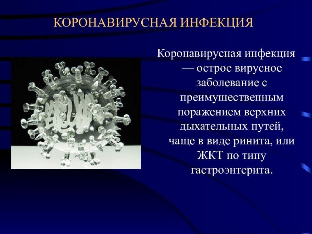 Что Такое Коронавирус Фото