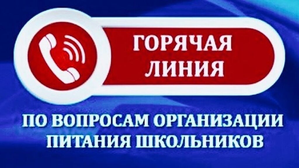 Организация горячей линии. Горячая линия по вопросам организации питания в школах. Горячая линия. Горячая линия по питанию в школе. Горячая линия по организации питания школьников.