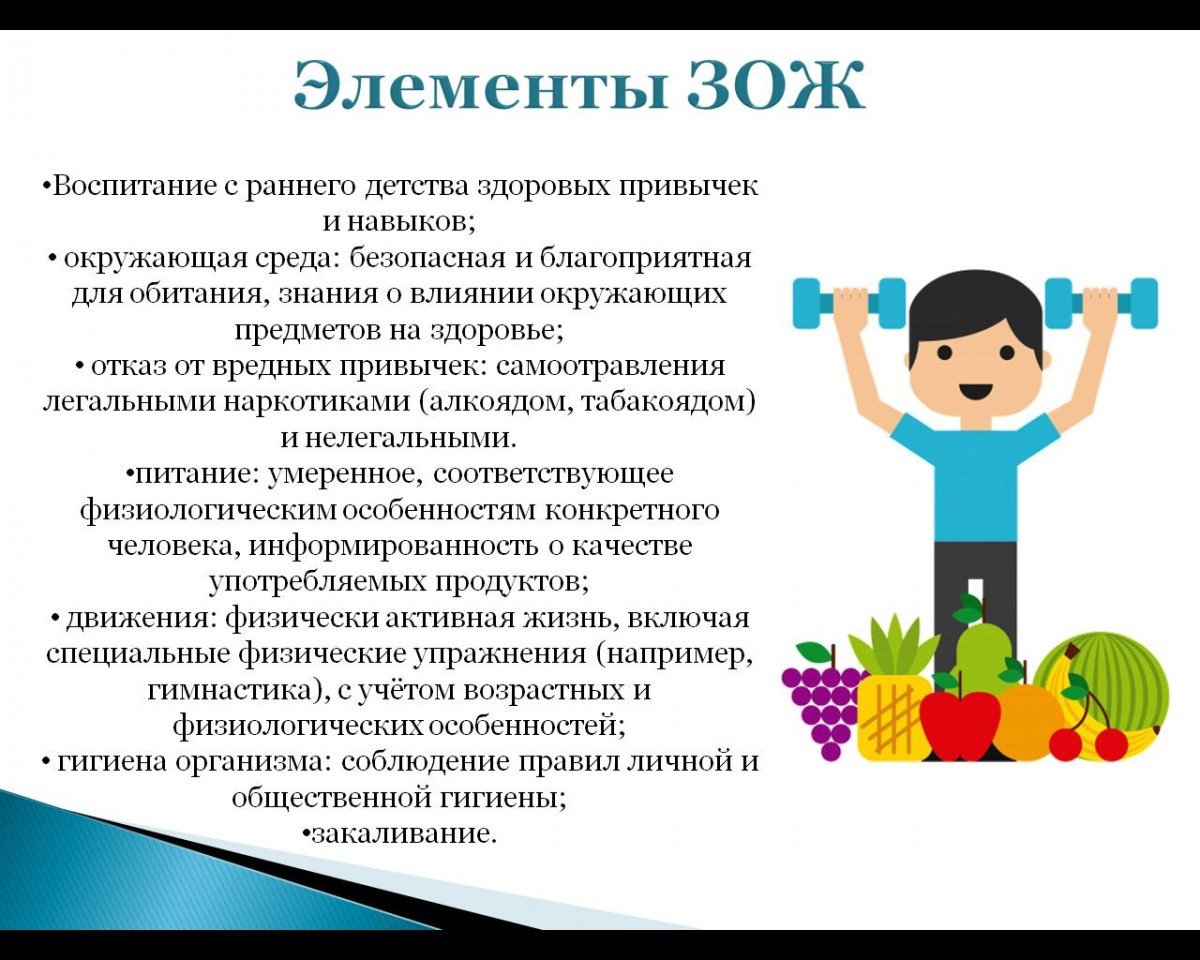 Элементы зож картинки