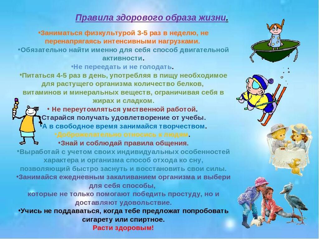 Правила Зож Картинки