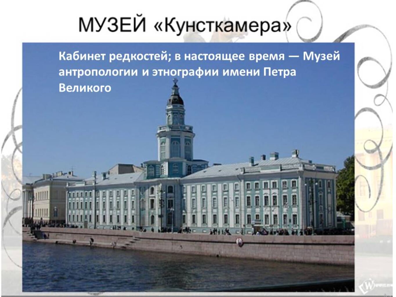 Первый музей. Первый музей Кунсткамера при Петре 1. Кунсткамера Санкт-Петербург при Петре 1. Академия наук и Кунсткамера в Санкт-Петербурге при Петре 1. Кунсткамера 1719 г. в Петербурге.