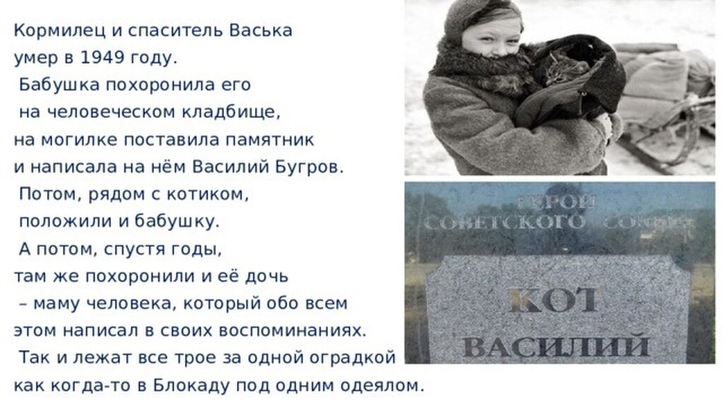 Кот в блокадном ленинграде спас семью. Рассказ про кота Ваську в блокадном Ленинграде.