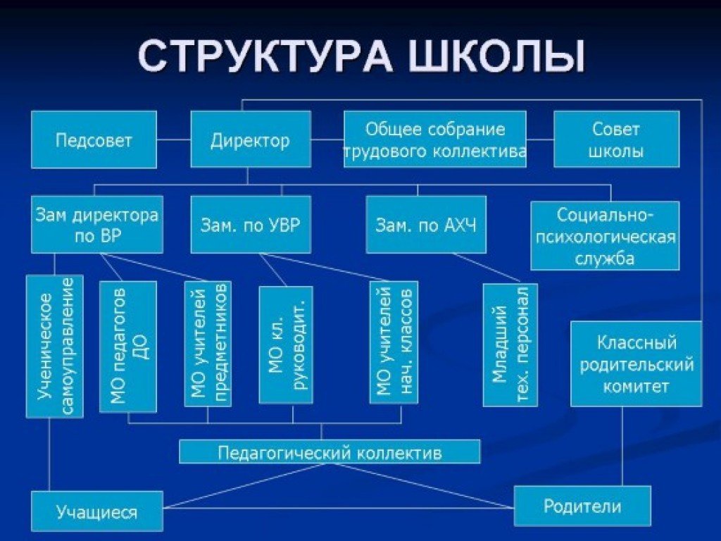 Схема иерархии в школе