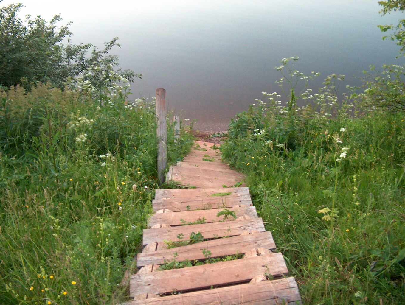 Лестницы на речке. Пруд Сорокин мостки. Лестница к реке. Лестница спуск к реке. Деревянная лестница к реке.
