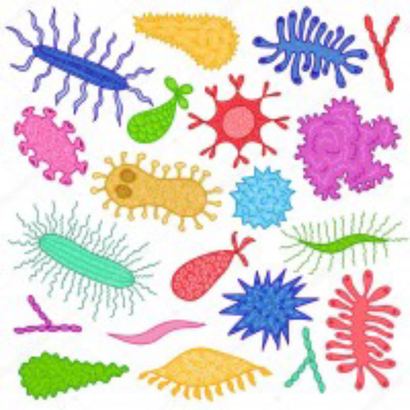 микробы