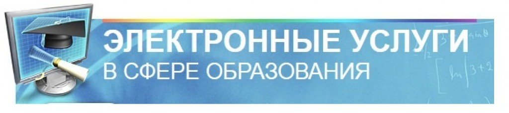 Электронные услуги образования. Электронные услуги в сфере образования. Электронные услуги в сфере образования картинка. Электронные услуги в сфере образования Свердловская область. Электронные услуги в сфере образования горячая линия.