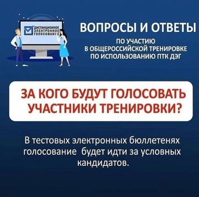 Портал дистанционного голосования. Тестирование дистанционного электронного голосования. Тестовое голосование. Электронное голосование. Дистанционное электронное голосование 12 мая.