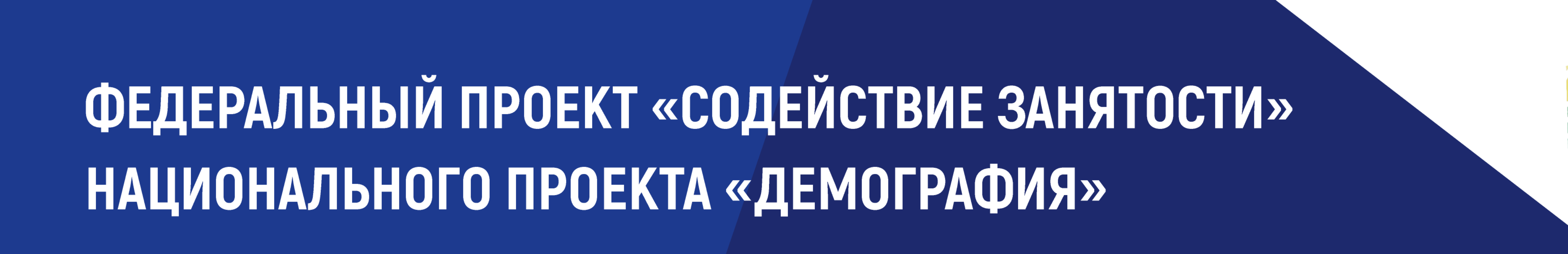 Федеральный проект содействие занятости демография. Баннер содействие занятости. Федеральный проект содействие занятости эмблема. Водскиллс баннеры содействие занятости.