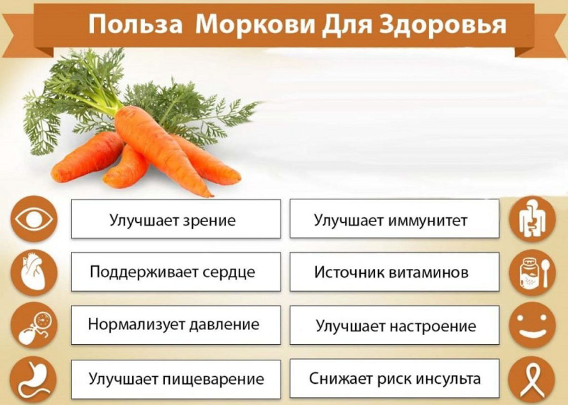 Польза от моркови на диете быстро