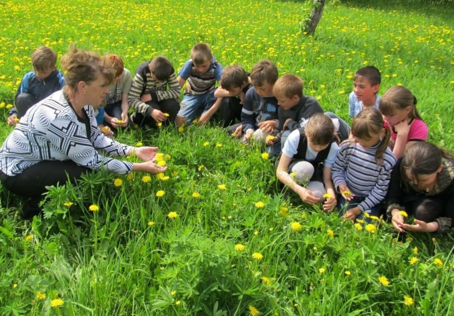 Природа начальная школа. Что такое природа для дошкольников. Экскурсия на природу. Экологическое воспитание. Детям об экологии.