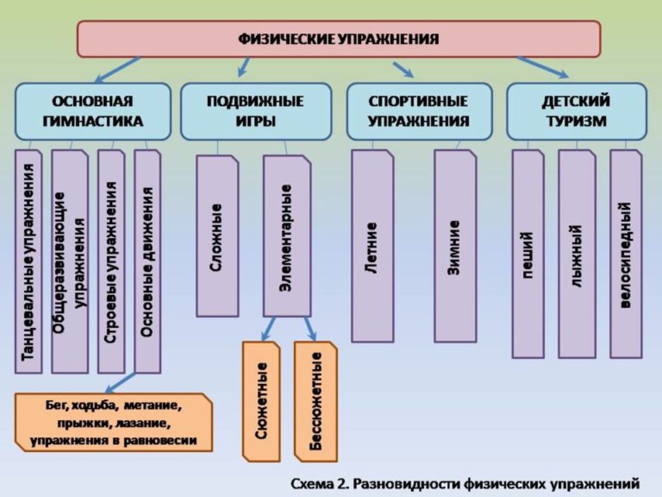К видам физических упражнений относятся. Основные группы физических упражнений. Виды физ упражнений. Основные классификации физических упражнений. Основные формы физического воспитания.