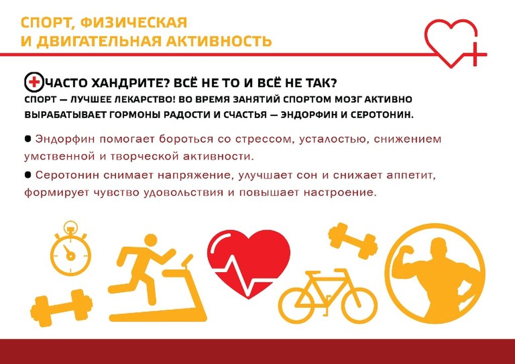 Спортивные события года