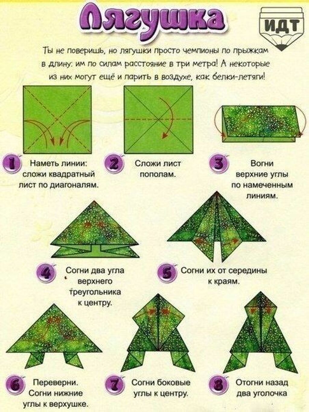 Квадратная лягушка