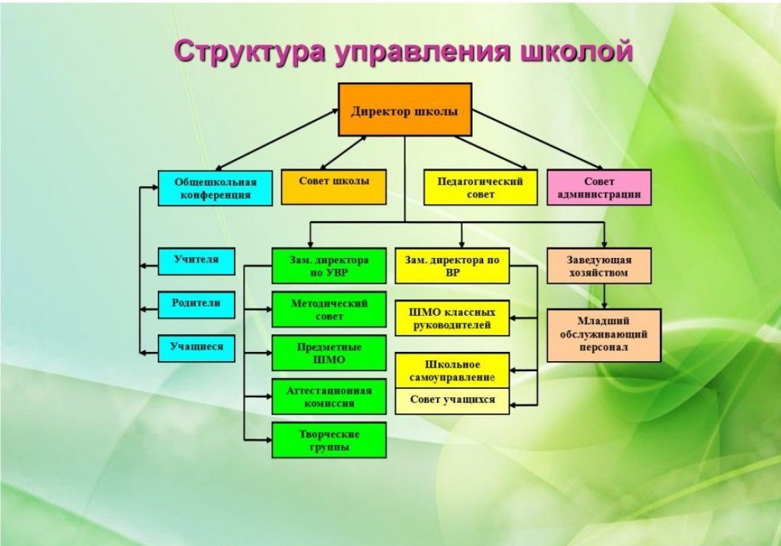 Кто является руководителем. Схема организационная структура учебного заведения школы. Структура и органы управления школой схема. Структура управления школой схема. Схема управления школы со структурными подразделениями.